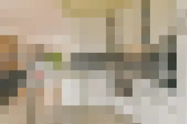 Koerierspad 3 Gouda thumbnail 16