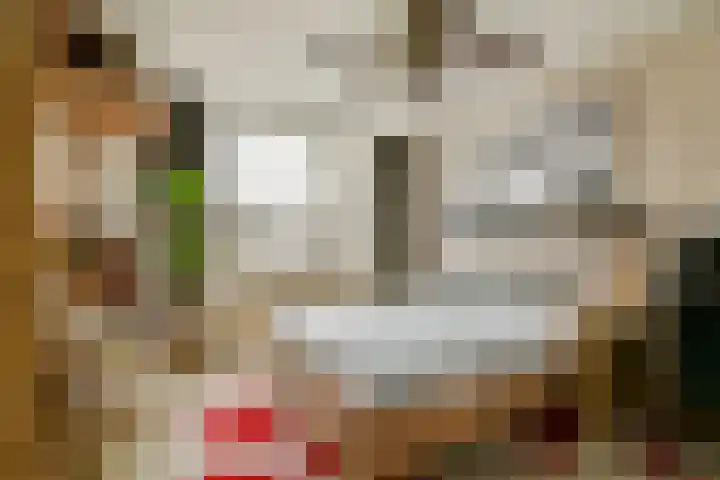 Koerierspad 3 Gouda thumbnail 17