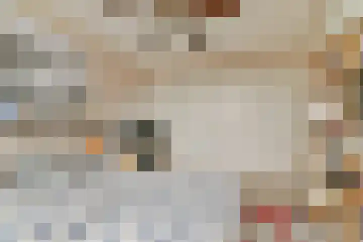 Koerierspad 3 Gouda thumbnail 18