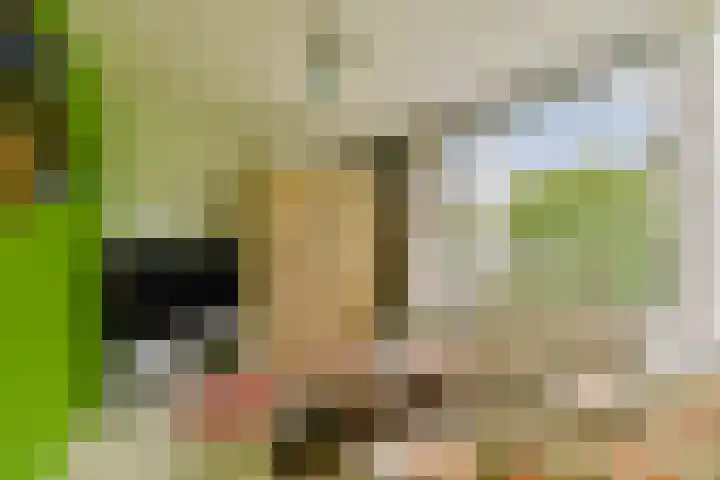 Koerierspad 3 Gouda thumbnail 19