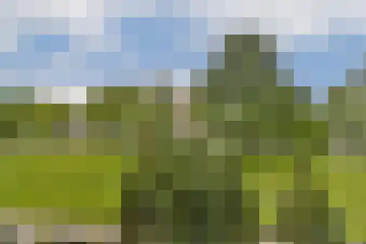 Koerierspad 3 Gouda thumbnail 20