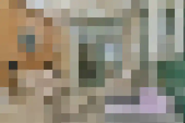 Koerierspad 3 Gouda thumbnail 26