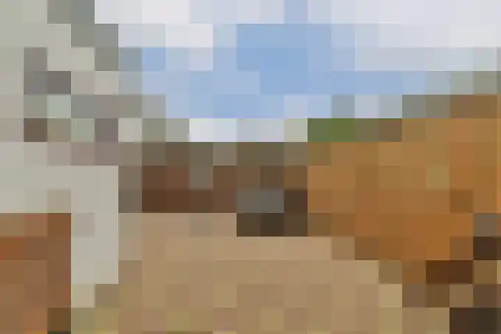 Koerierspad 3 Gouda thumbnail 29