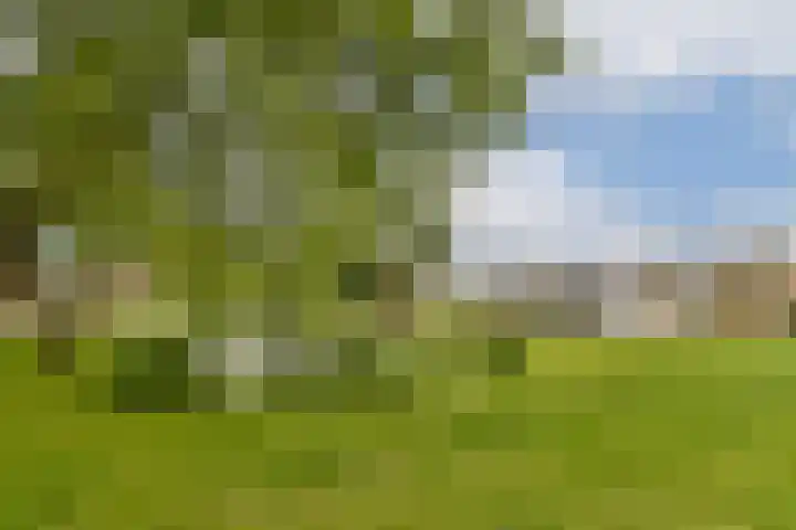 Koerierspad 3 Gouda thumbnail 31