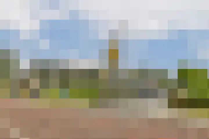 Koerierspad 3 Gouda thumbnail 33