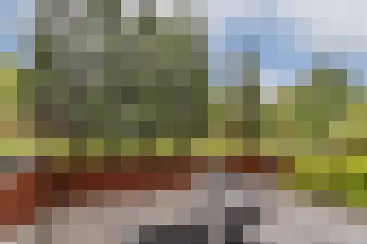 Koerierspad 3 Gouda thumbnail 8