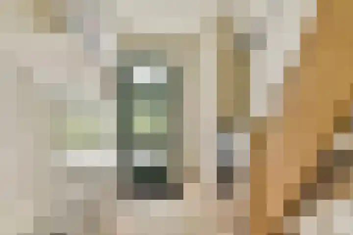 Koerierspad 3 Gouda thumbnail 9