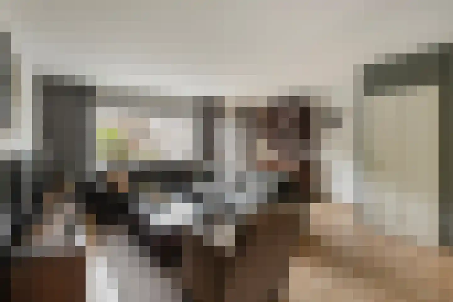 Koerierster 6 Bunschoten-Spakenburg thumbnail 10
