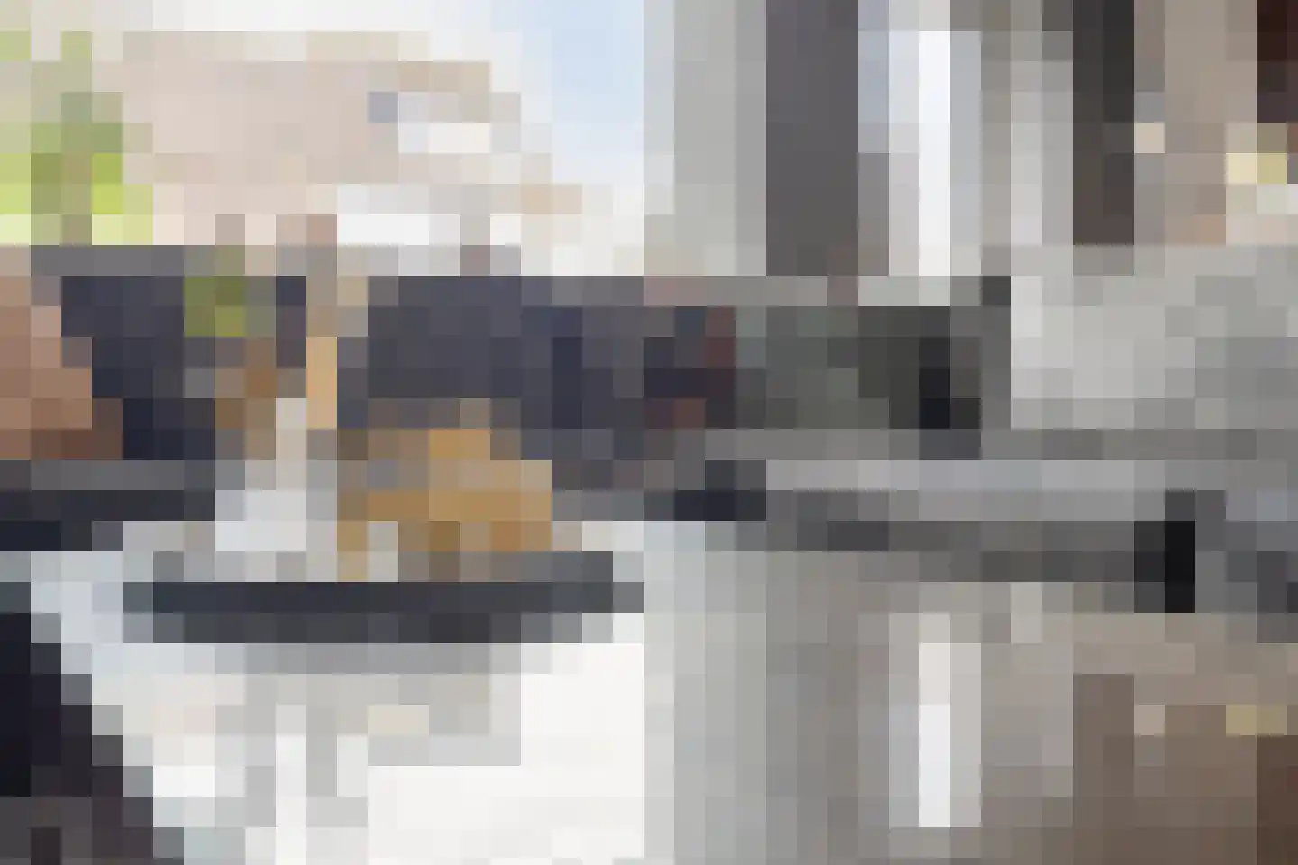 Koerierster 6 Bunschoten-Spakenburg thumbnail 11