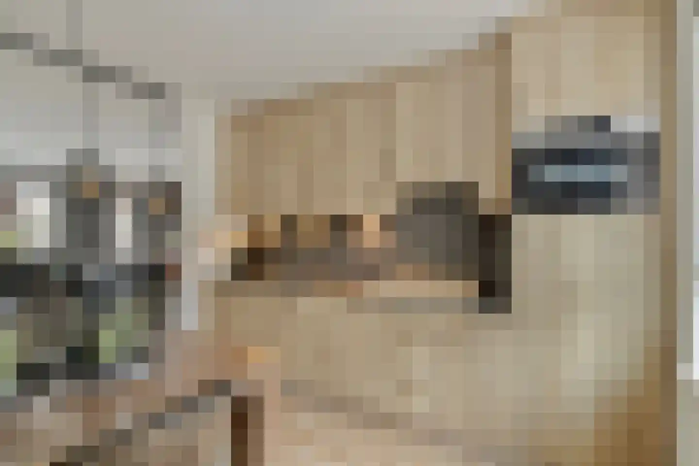 Koerierster 6 Bunschoten-Spakenburg thumbnail 13