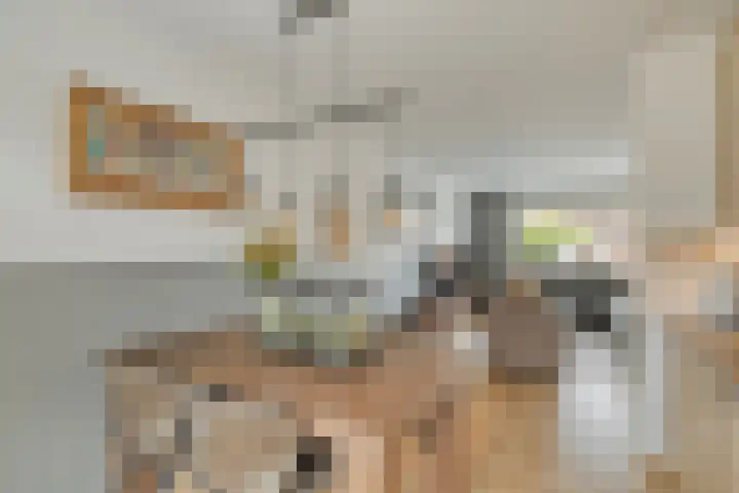 Koerierster 6 Bunschoten-Spakenburg thumbnail 14