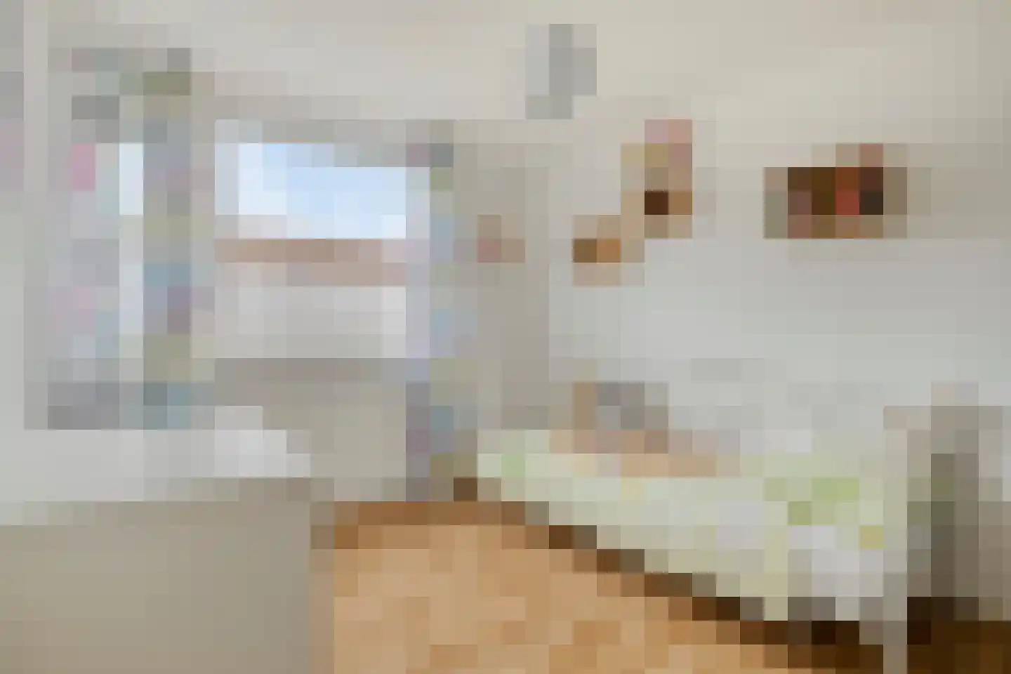 Koerierster 6 Bunschoten-Spakenburg thumbnail 21