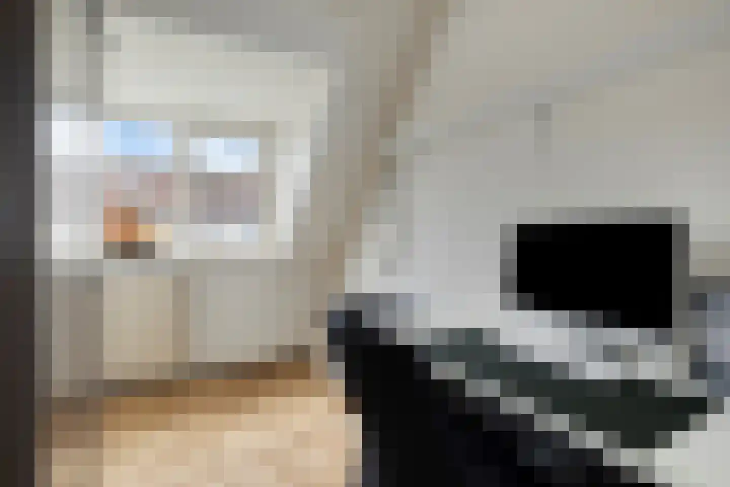 Koerierster 6 Bunschoten-Spakenburg thumbnail 23