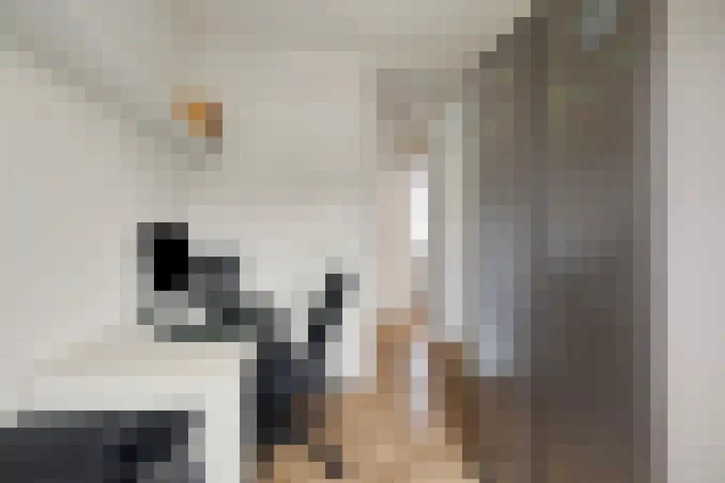 Koerierster 6 Bunschoten-Spakenburg thumbnail 24