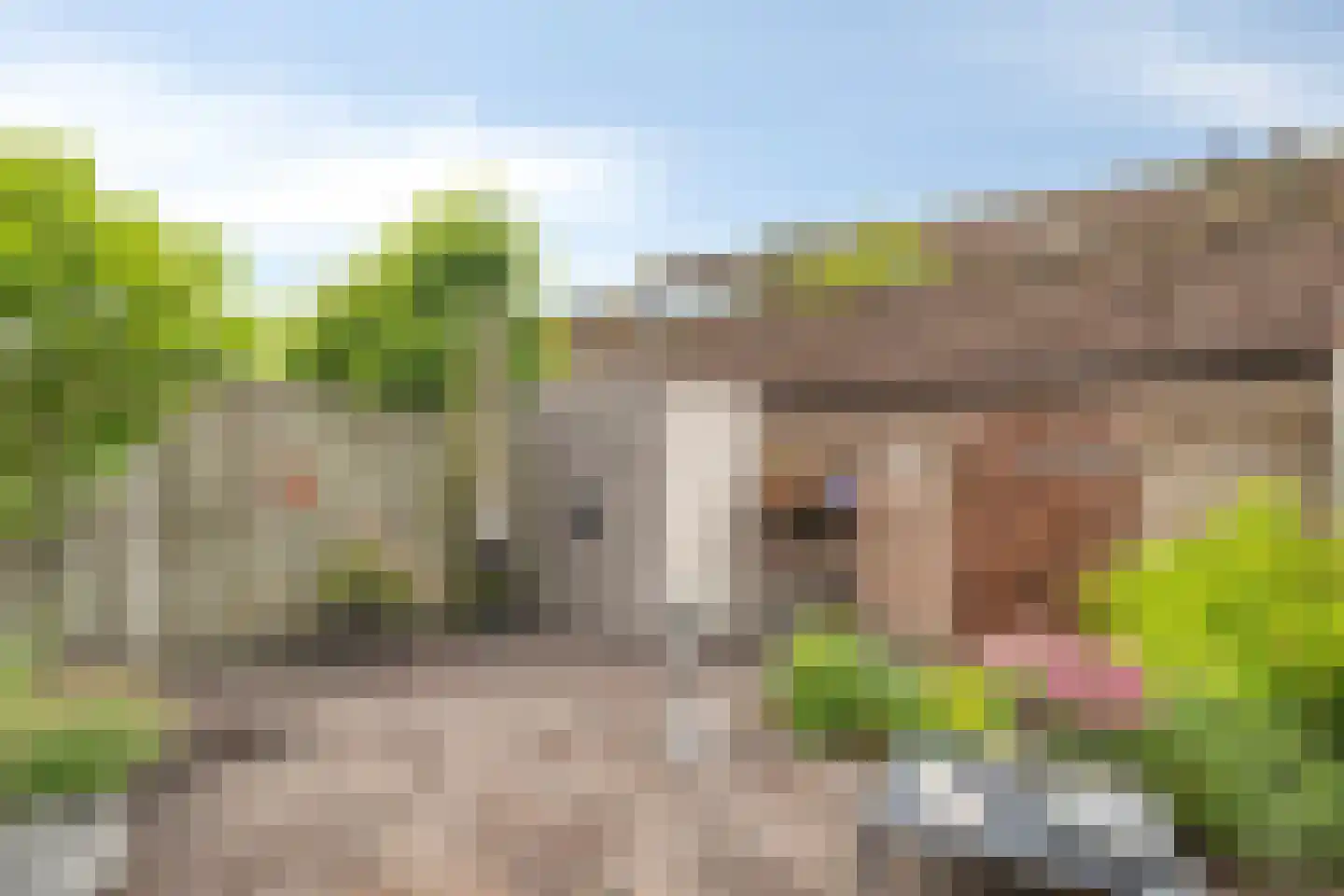 Koerierster 6 Bunschoten-Spakenburg thumbnail 35