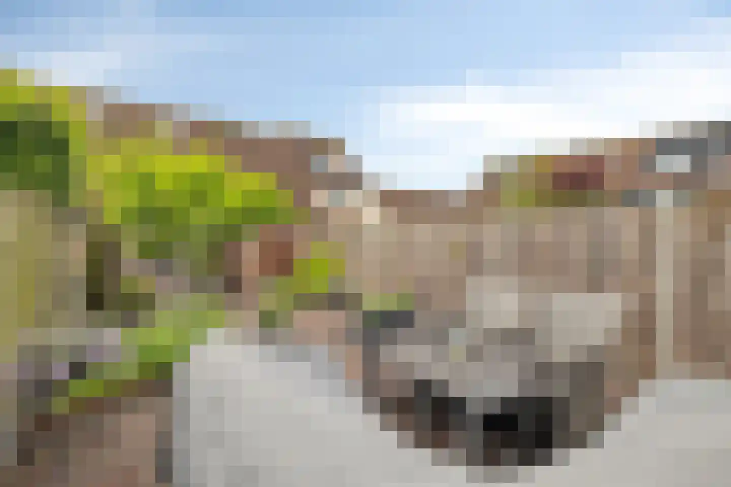 Koerierster 6 Bunschoten-Spakenburg thumbnail 37