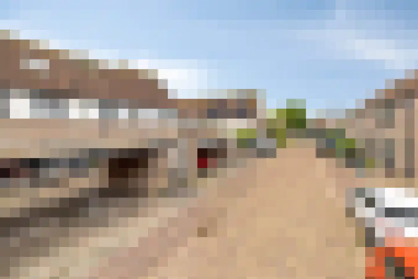 Koerierster 6 Bunschoten-Spakenburg thumbnail 39