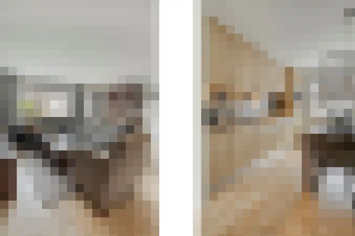 Koerierster 6 Bunschoten-Spakenburg thumbnail 7