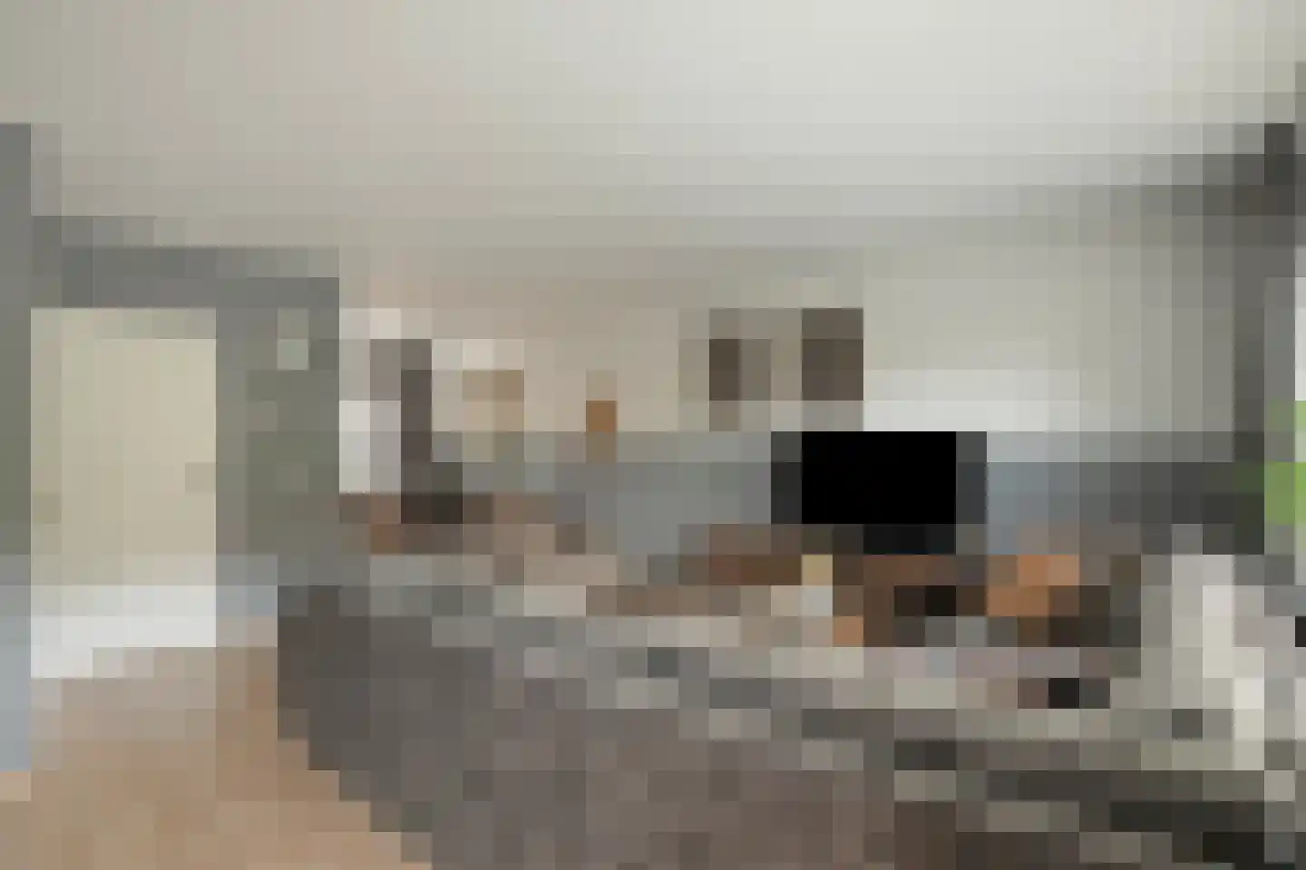 Koerierster 6 Bunschoten-Spakenburg thumbnail 9