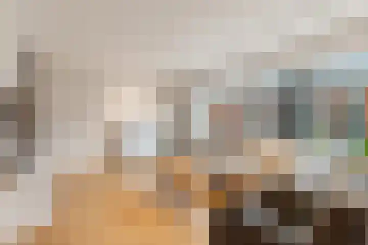 Koerierstersplein 12 Amsterdam thumbnail 10