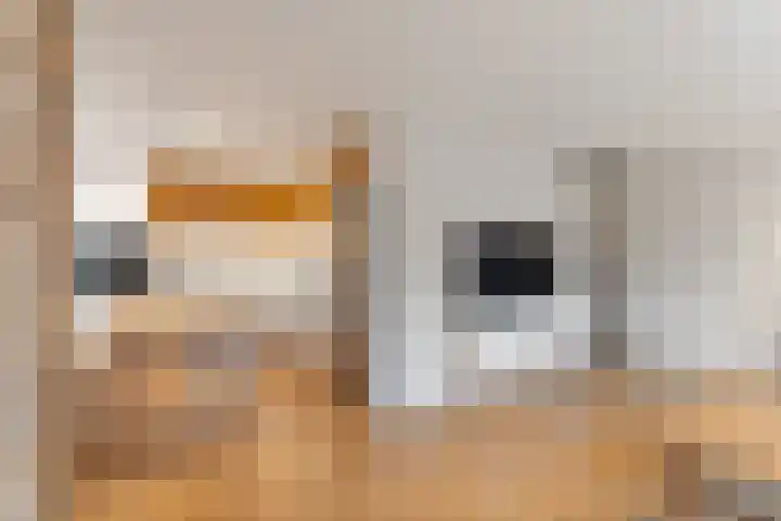 Koerierstersplein 12 Amsterdam thumbnail 12