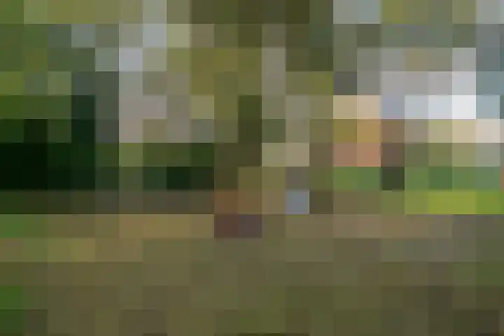 Koerierstersweg 11 Amersfoort thumbnail 30