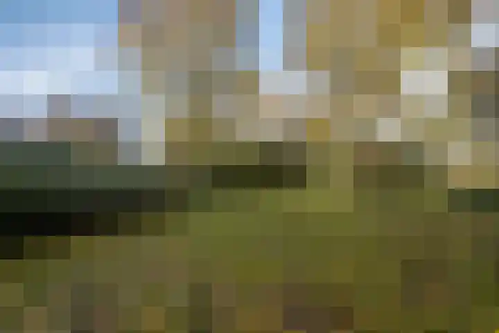 Koerierstersweg 11 Amersfoort thumbnail 31