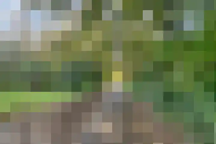 Koerierstersweg 11 Amersfoort thumbnail 32