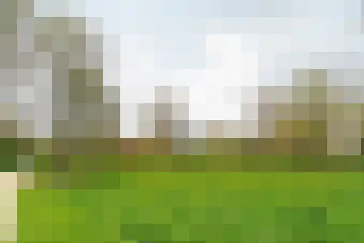 Koerierstersweg 11 Amersfoort thumbnail 34