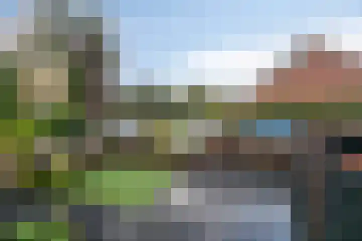 Koerierstersweg 11 Amersfoort thumbnail 4