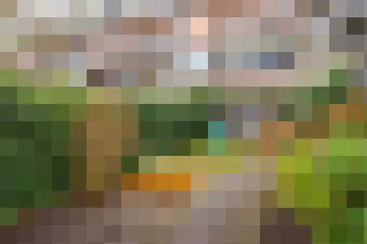 Koeriersterweg 10 Groningen thumbnail 40