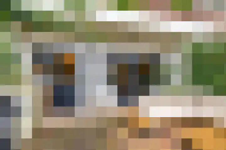 Koeriersterweg 10 Groningen thumbnail 41