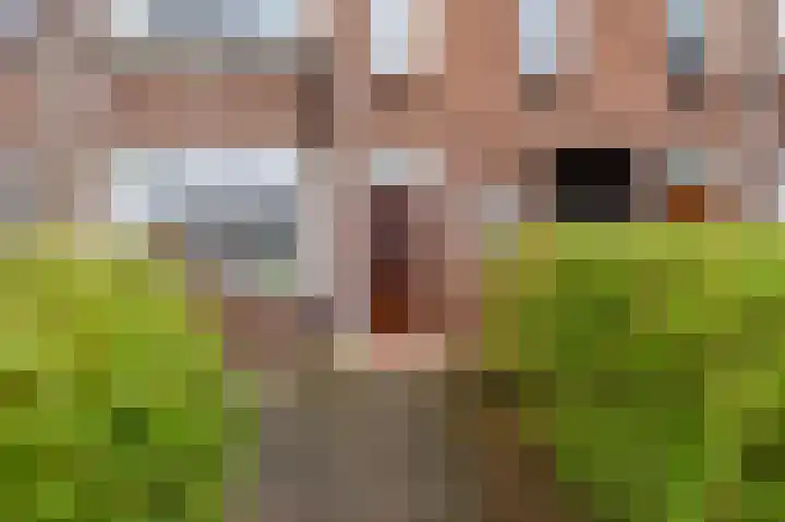 Koeriersterweg 10 Groningen thumbnail 44