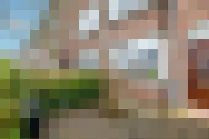 Koeriersterweg 10 Groningen thumbnail 45