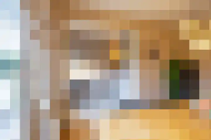 Koeriersterweg 10 Groningen thumbnail 9