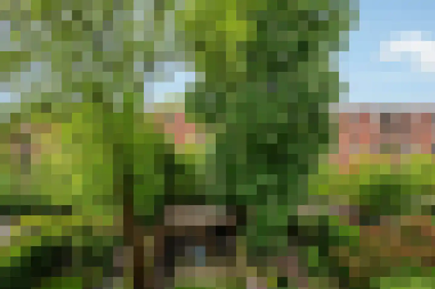 Koeriersterweg 13 a Groningen thumbnail 16