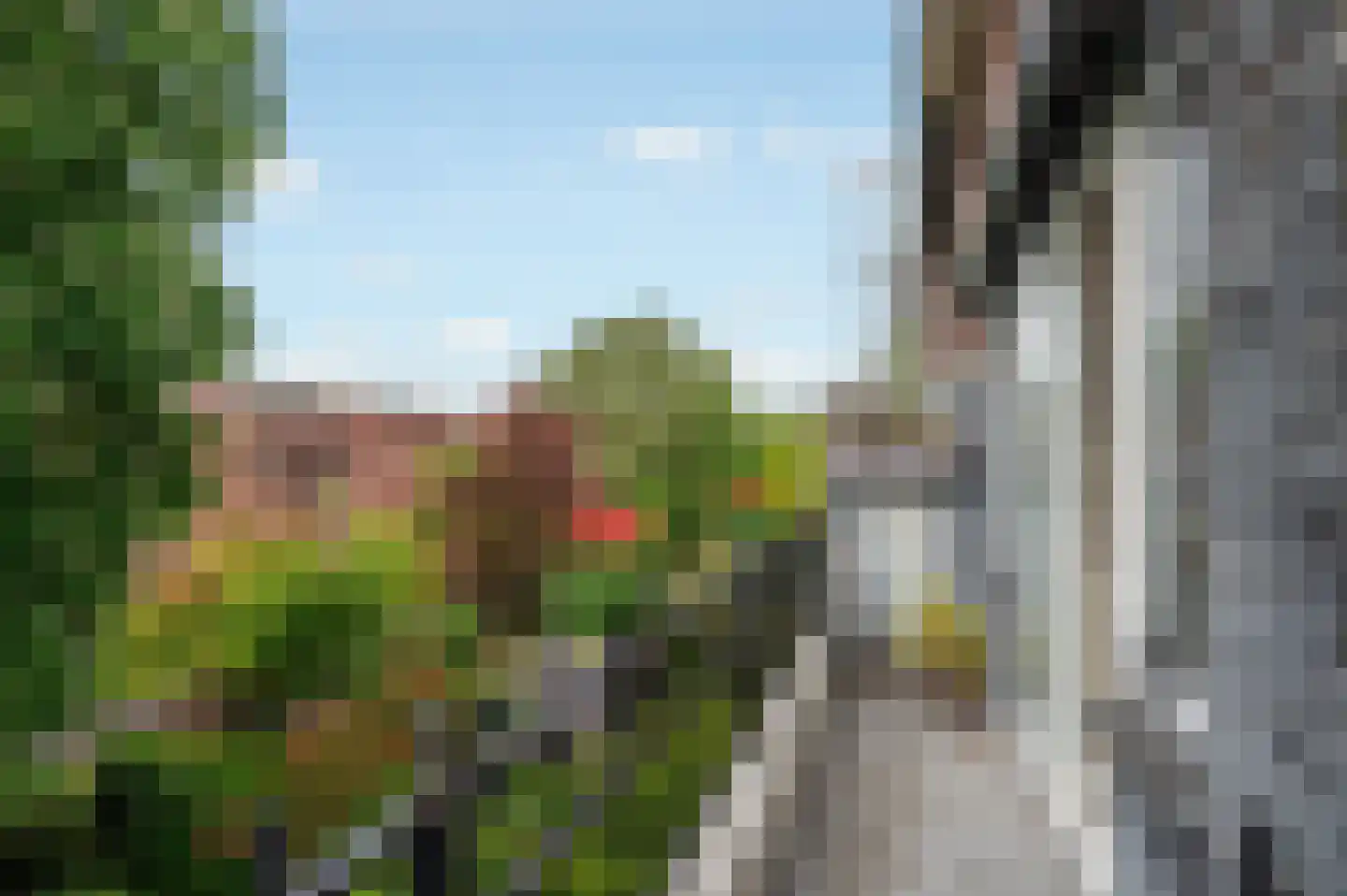 Koeriersterweg 13 a Groningen thumbnail 17