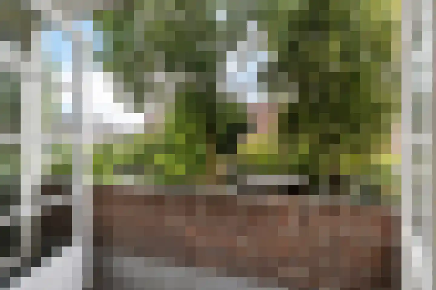 Koeriersterweg 13 Groningen thumbnail 38