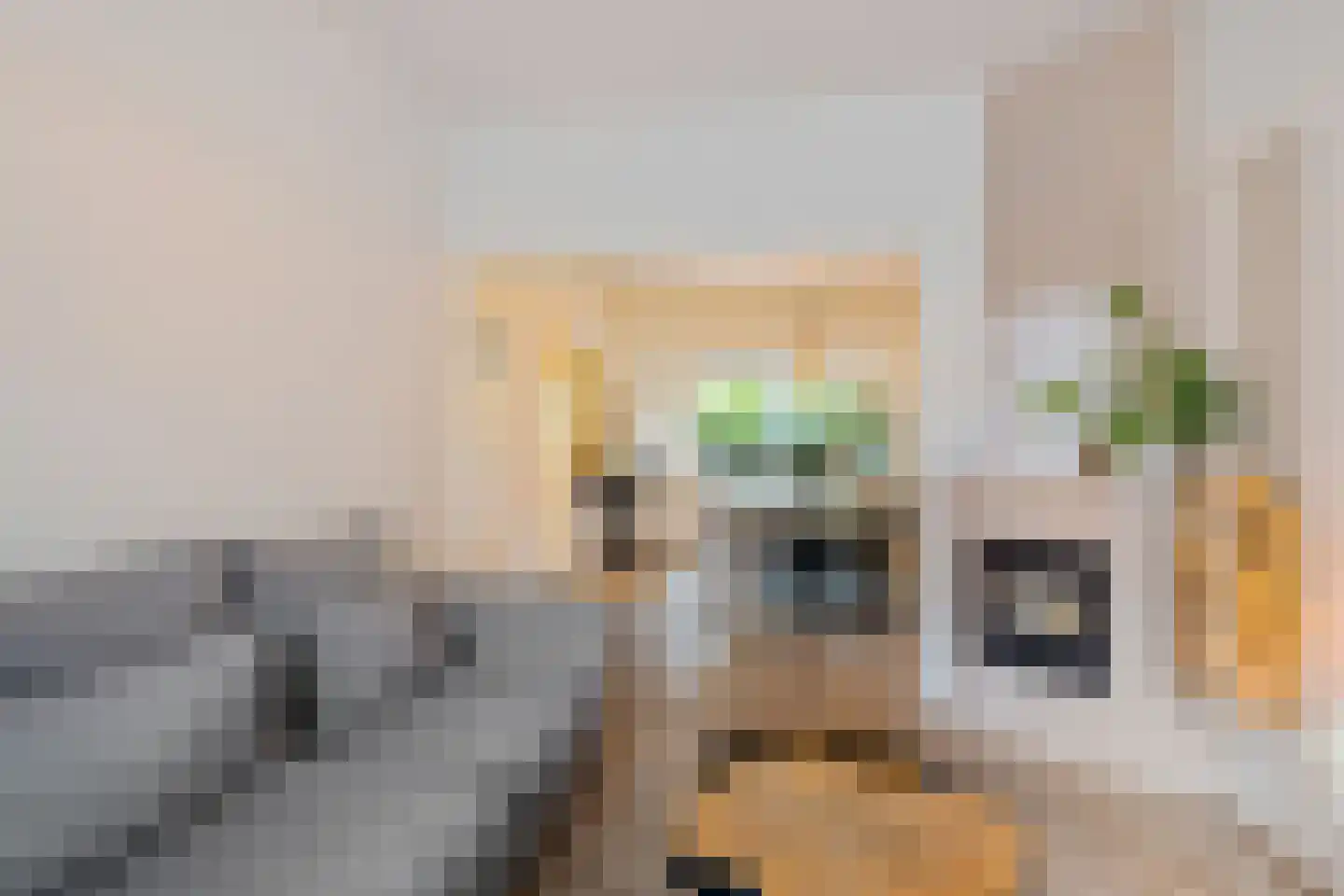 Koeriersterweg 13 Groningen thumbnail 4
