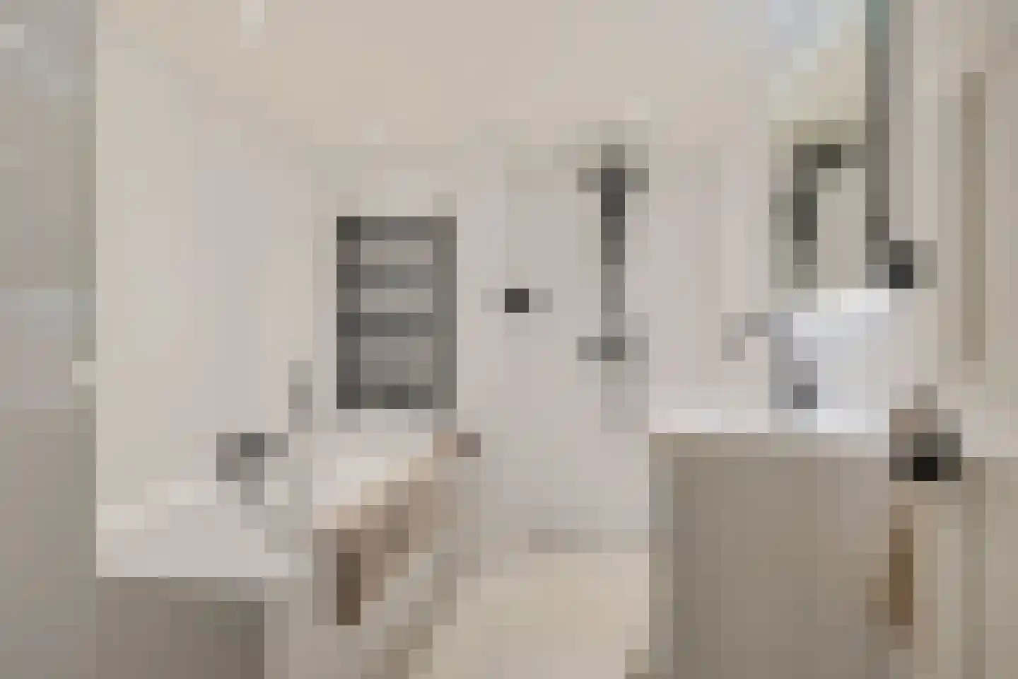 Koeriersterweg 13 Groningen thumbnail 5