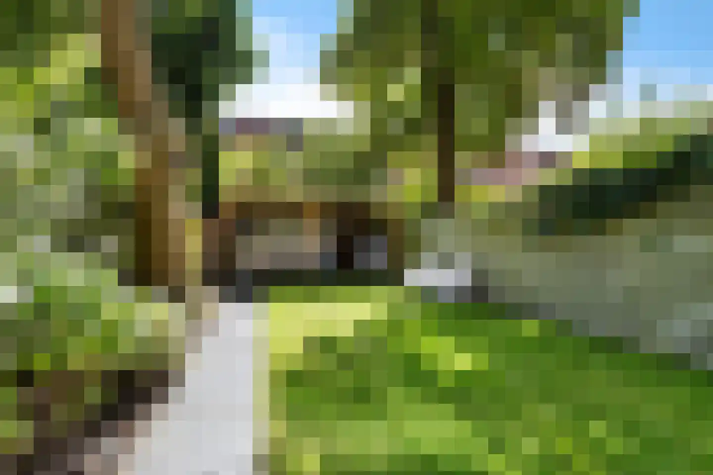 Koeriersterweg 13 Groningen thumbnail 7