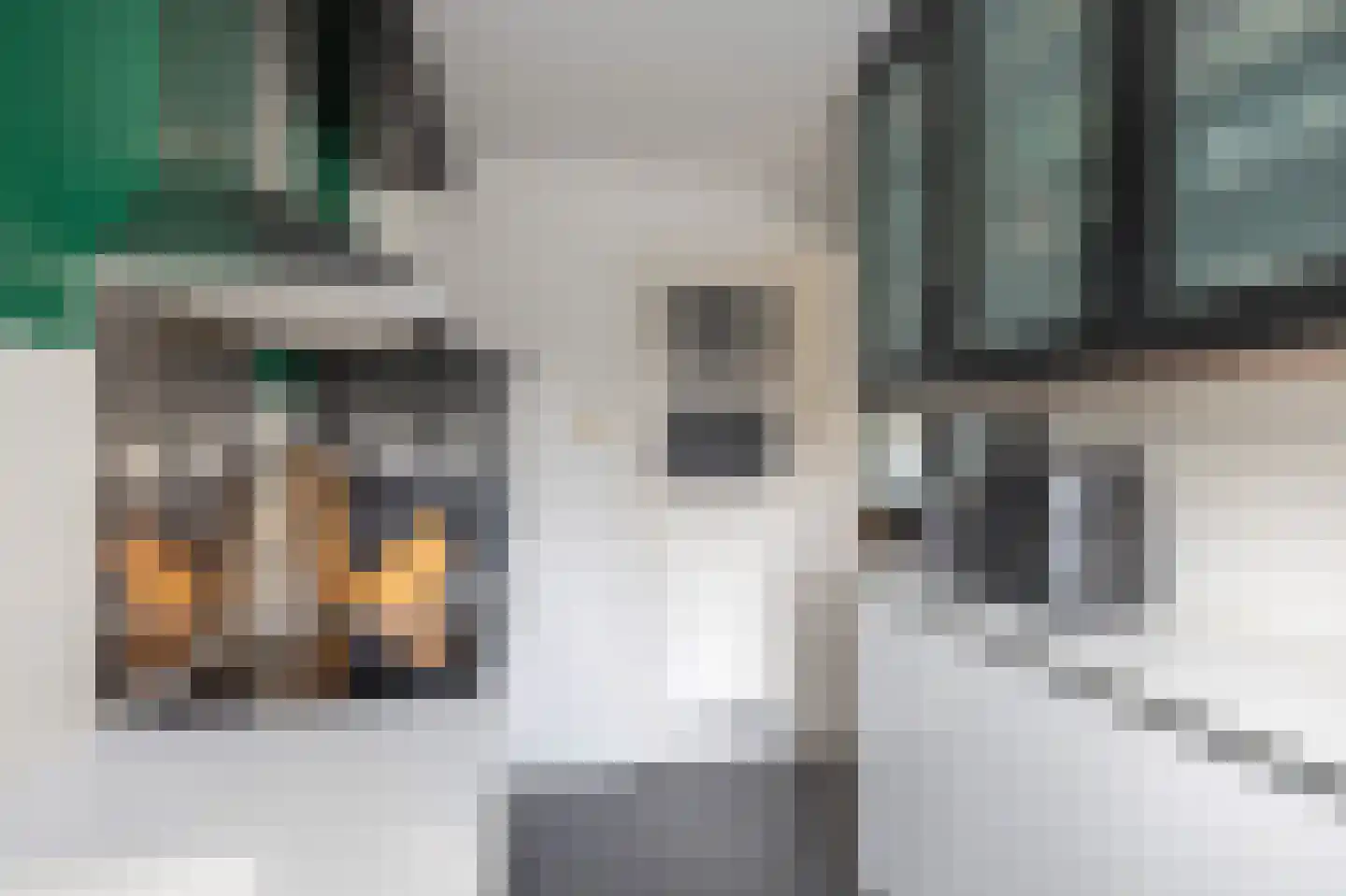 Koeriersterweg 2 Groningen thumbnail 12