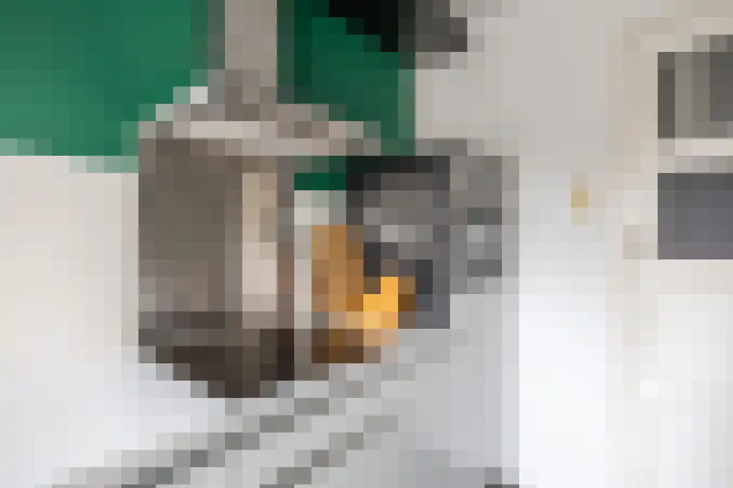 Koeriersterweg 2 Groningen thumbnail 14