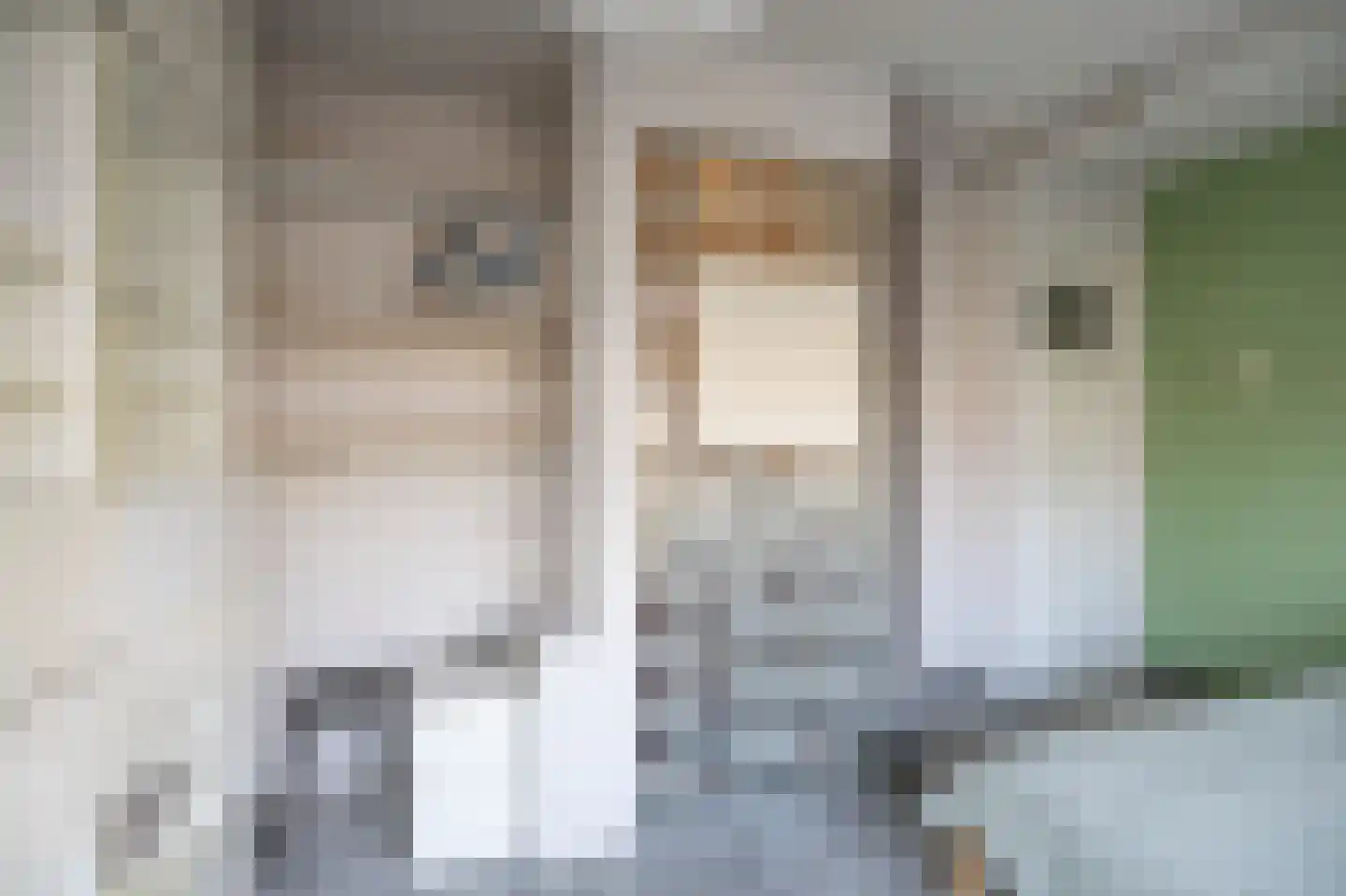 Koeriersterweg 2 Groningen thumbnail 30