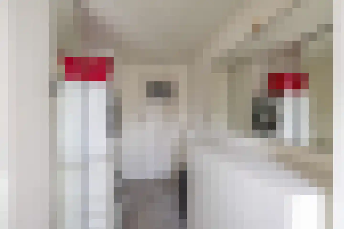Koeriersterweg 2 Groningen thumbnail 32