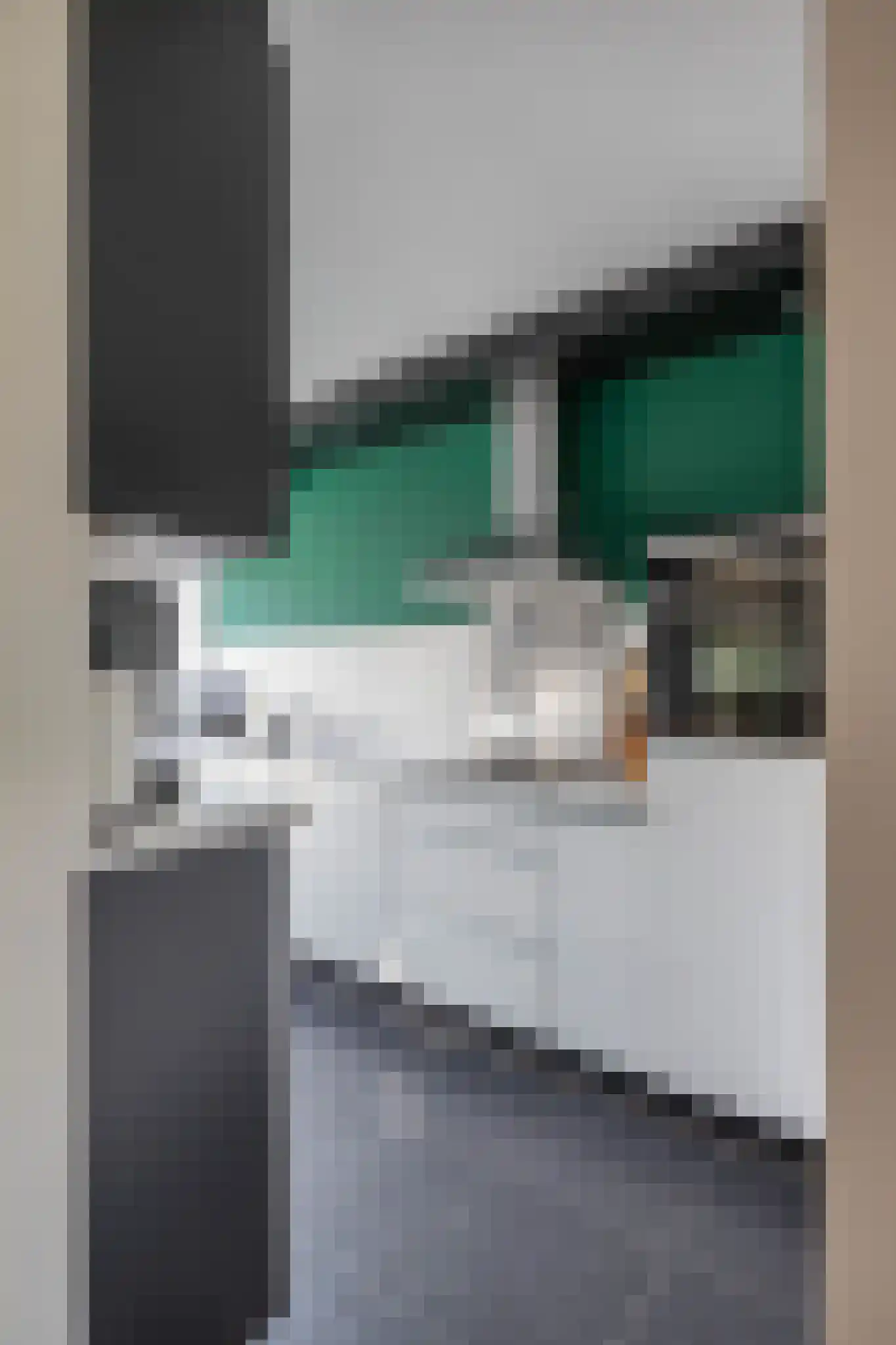 Koeriersterweg 2 Groningen thumbnail 9