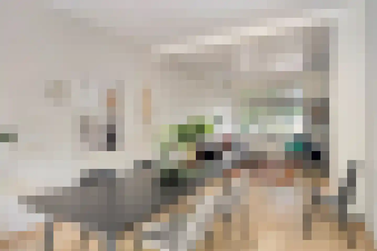 Koeriersterweg 21 Groningen thumbnail 11