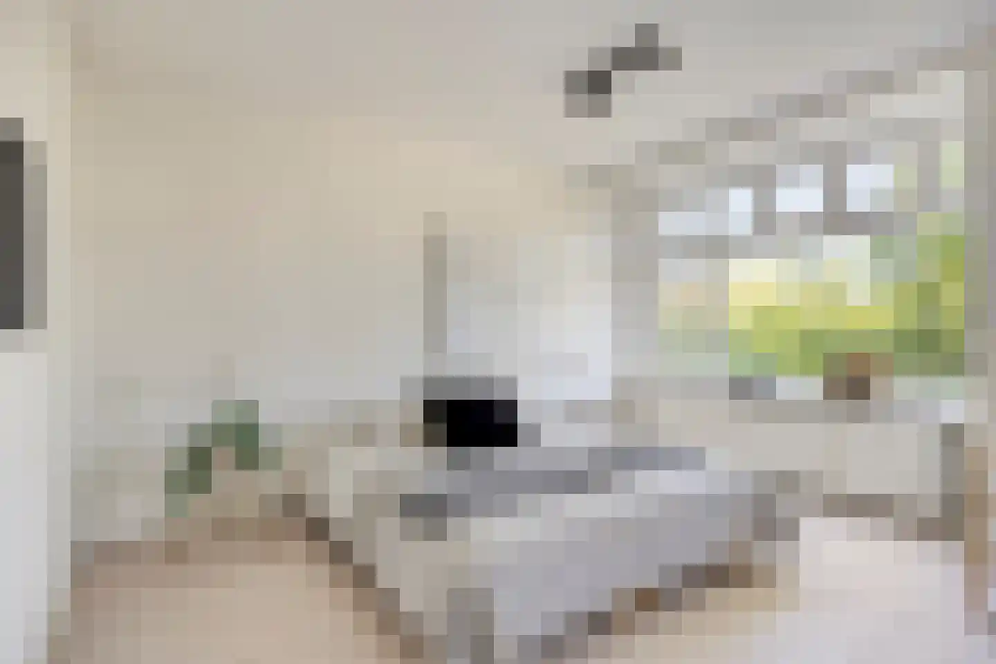 Koeriersterweg 21 Groningen thumbnail 24