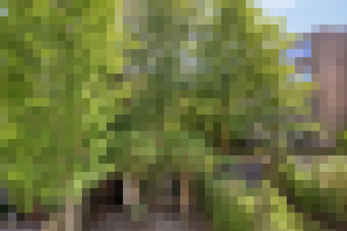 Koeriersterweg 21 Groningen thumbnail 33