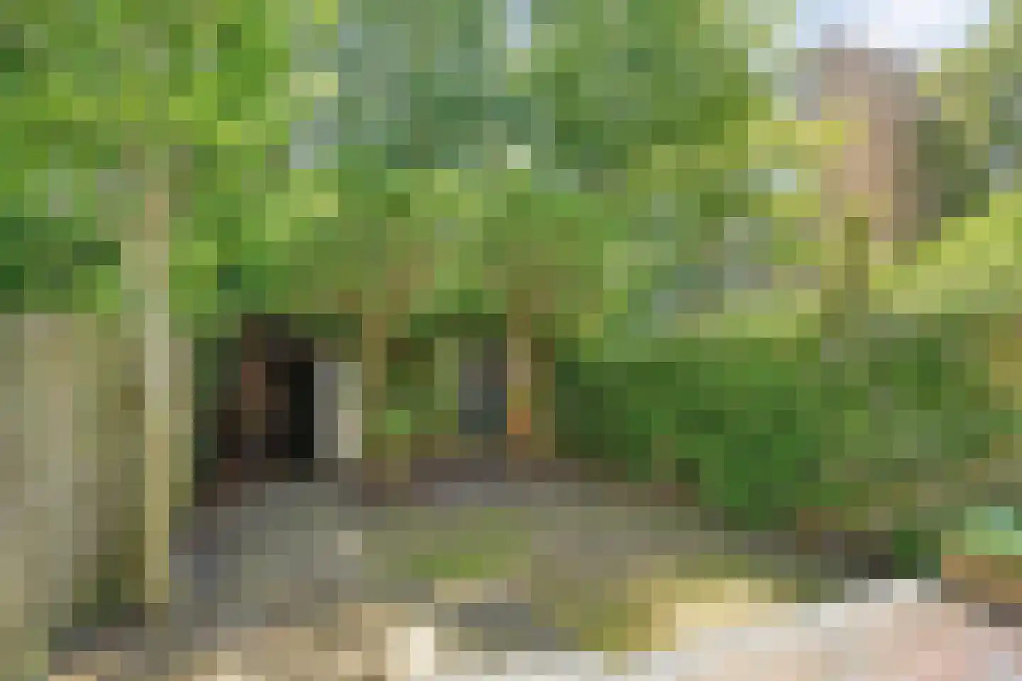Koeriersterweg 21 Groningen thumbnail 38